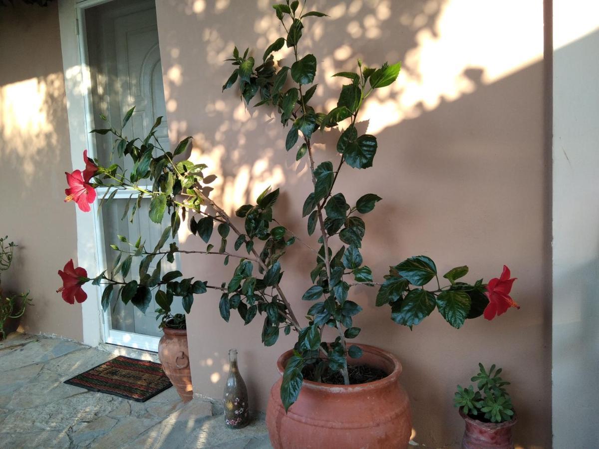 Spiti Lou Apartment Notos Exterior photo